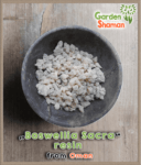 gardenshaman_boswellia_sacra_oman_01.png