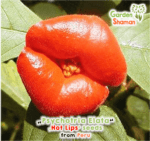 gardenhaman_psychotria_elata_01.png