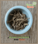 gardenhsman_iboga_rootbark_01.png