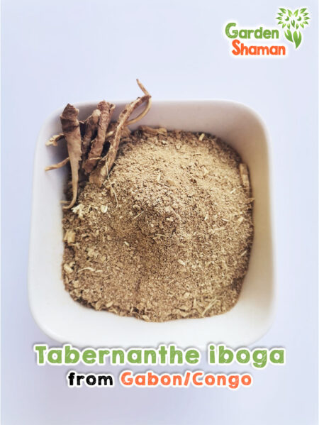 GardenShaman.eu - Corteza de raíz de Tabernanthe iboga