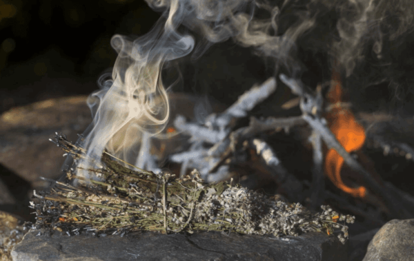 GardenShaman.eu - Blog incense incense incense nights