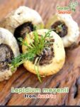 GardenShaman.eu - Maca Lepidium meyenii Samen seeds