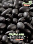 GardenShaman.eu - Graines de Glycine max Hokkai Black seeds