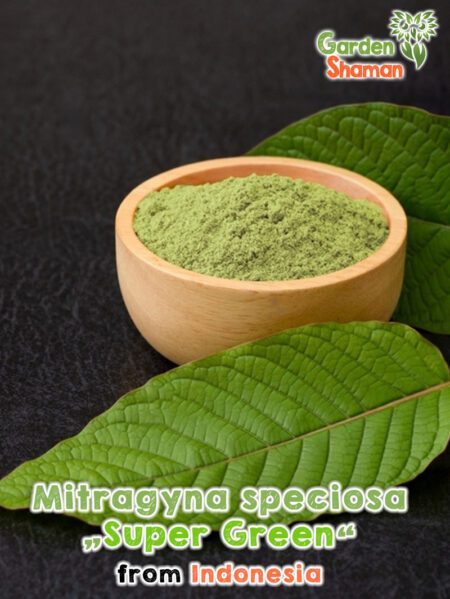 GardenShaman.eu - Kratom gemahlen, Mitragyna speciosa Puder, Supergreen