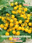 GardenShaman.eu - Graines de Solanum lycopersicum Aztek